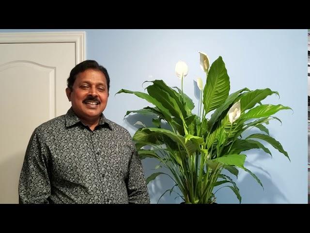 Toronto Malayalee Samajam Secretary Josekutty Chooravady on Samiksha magazine