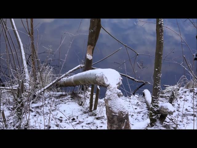 Spaziergang am Havelkanal