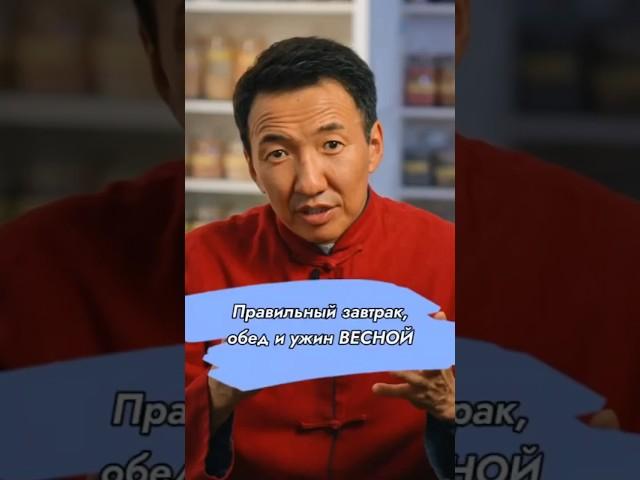 ЗАВТРАК, ОБЕД И УЖИН ВЕСНОЙ! // #докторжимба
