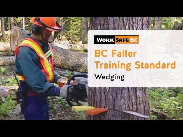 BC Faller Training Standard - Wedging (9 of 17)