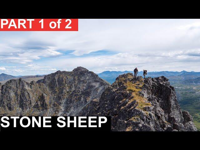 The Definition of Success Stone Sheep Part 1 | Greg McHale's Wild Yukon