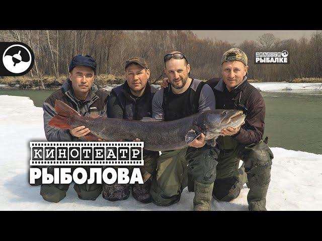 Весенний таймень. Хабаровск | Кинотеатр рыболова