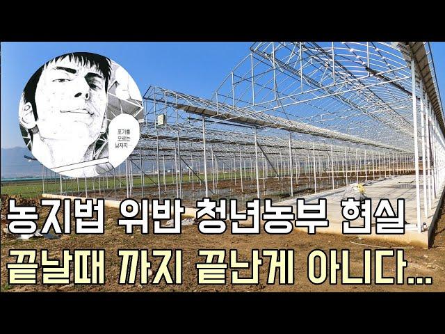 콘크리트 작업 실수로 농지법 위반한 청년창업농 현황 - #귀농 #스마트팜