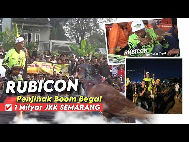 Champion AgainFenomenal Pigeon Rubicon Edition 1 Bilion Champion in Action at Jkk 1Billion Semarang