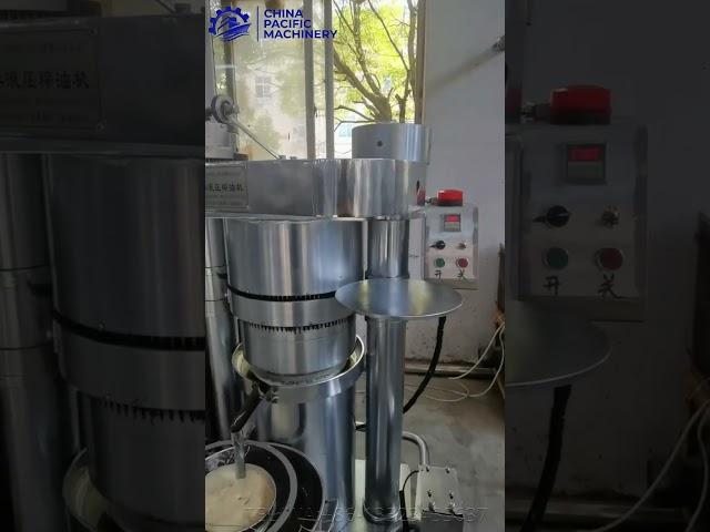 Sesame Oil Press Machine|Sesame Oil Expeller|Oil Extraction|Oil Press Machine|Oil Extractor#oilpress