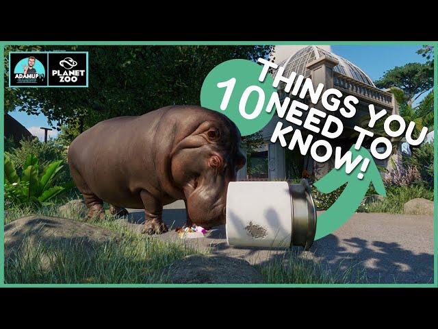 Planet Zoo: 10 Things I Wish I Knew Sooner