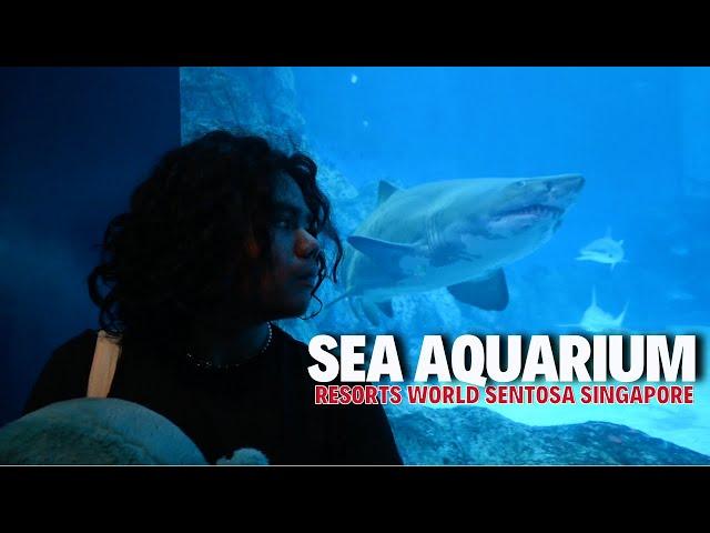 SEA AQUARIUM Sentosa | Singapore Trip