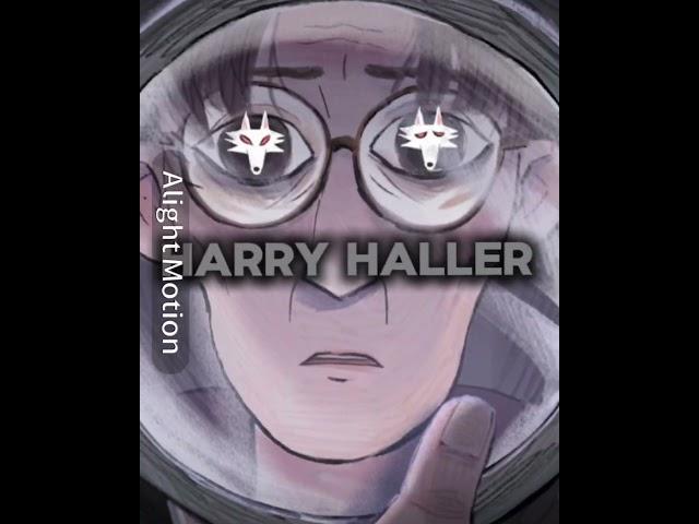 Harry Haller vs Animanga & VN