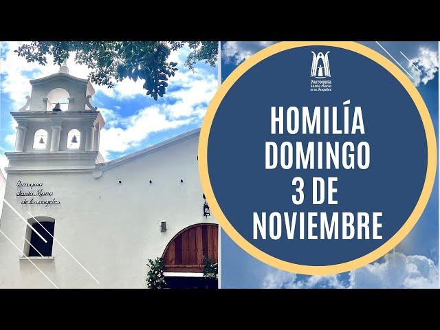 Homilía Domingo 3 de Noviembre 2024 -  Parroquia Santa María de los Ángeles