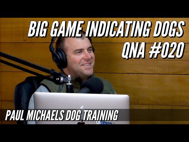 Big Game Indicating Dogs QnA - #020