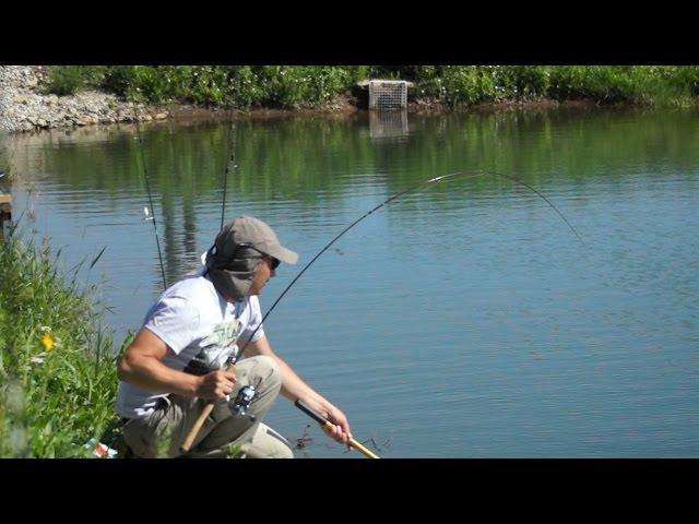 Spinning for the trout of the areas How to choose a spinning rod for trout fishing for beginners