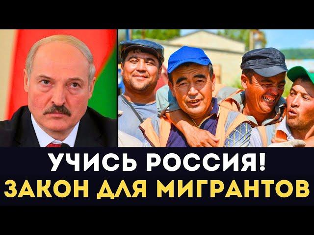 ВОТ ЗА ЧТО В РОССИИ УВАЖАЮТ ЛУКАШЕНКО! Узнали Почему Понаехавшие Мигранты Не Едут в Белоруссию и ОАЭ