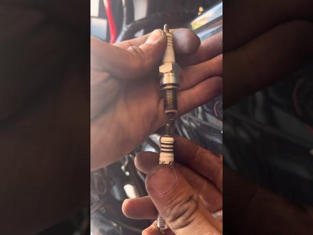 tukar coil Plug & Plug Nvx V2