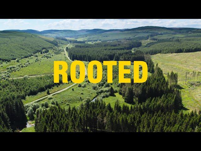 ROOTED - The Story of Eskdalemuir Forestry