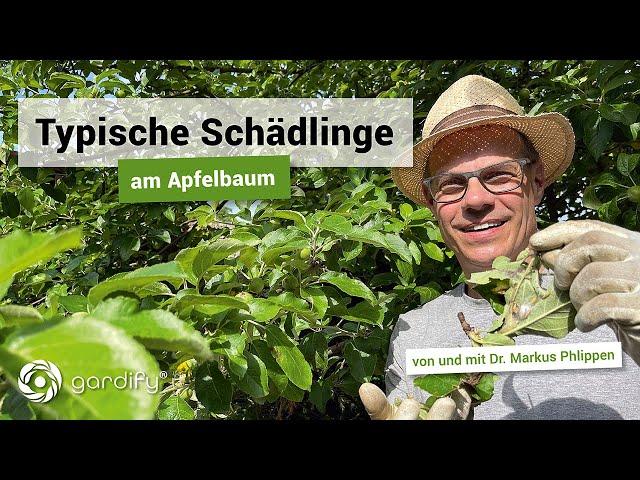 Typische Schädlinge am Apfelbaum | gardify Tipps