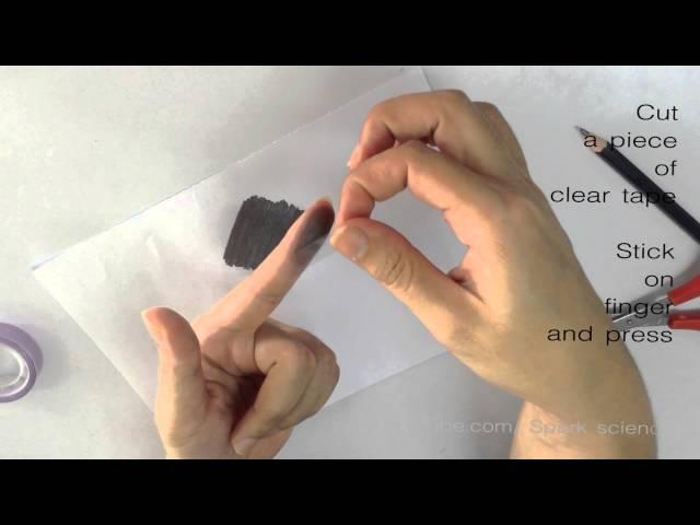 How to make fingerprint - Spark Science Homemade