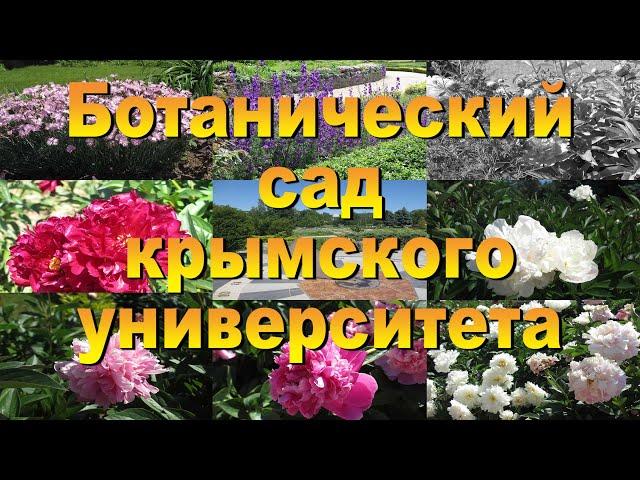Ботанический сад КФУ