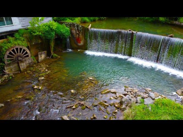 Fishing a 100 year Old Mill  (infested with rainbows)