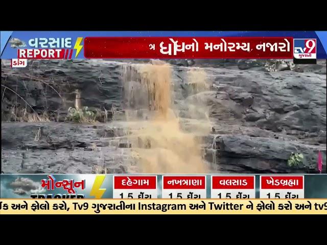 Nature blooms at tourist attractions amid rains in Dang | Gujarat Rains | Monsoon 2024 | TV9Gujarati