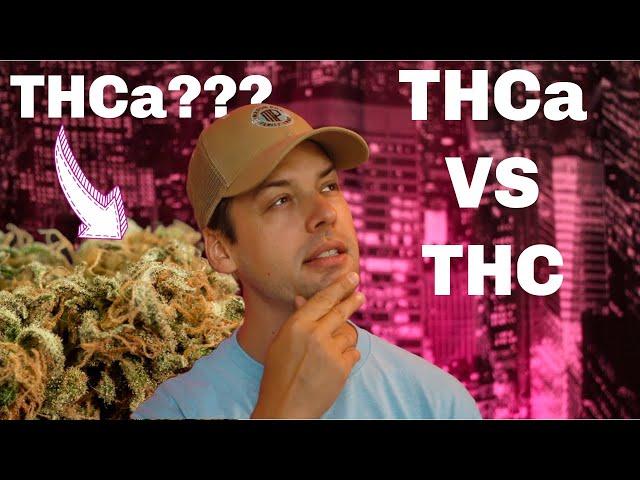 THC VS THCA What Is The Difference