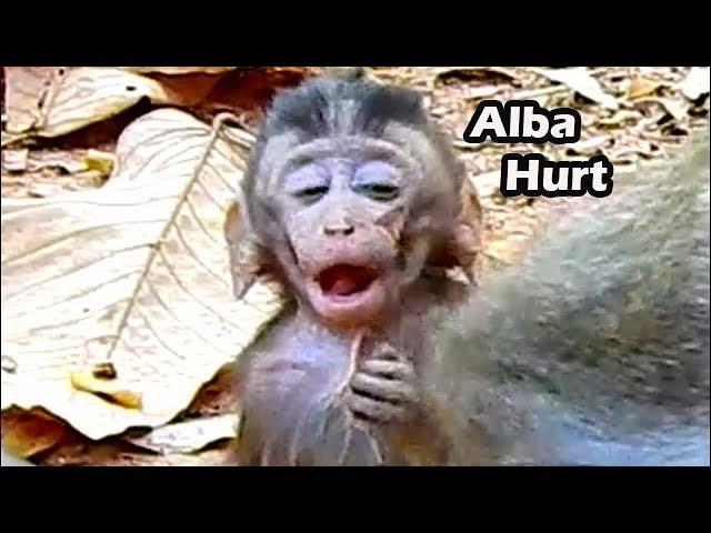 Painful Poor Baby Alba So Skinny | Alba Make Sympathy Face Behind Mum Anna Cos Want Mum Care