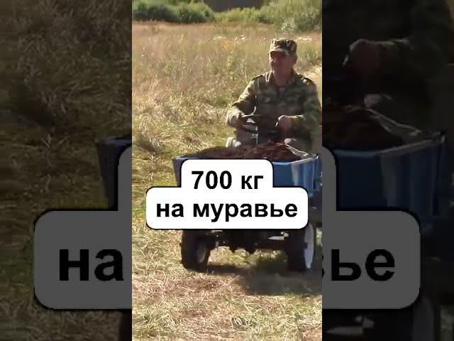 700 кг на мотоблоке