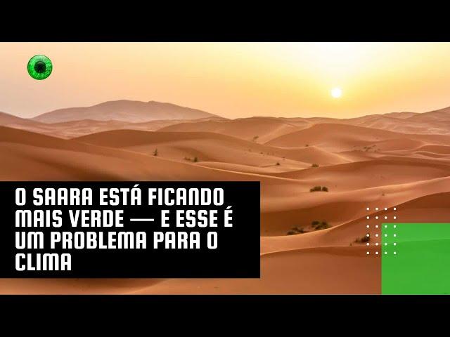 O Saara está ficando mais verde — e esse é um problema para o clima