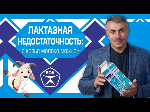 Лактазная недостаточность: а козье молоко можно? | Доктор Комаровский