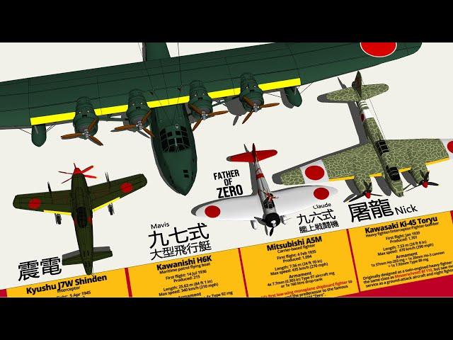 Crazy WW2 Imperial Japanese Military Aircraft Type & Size Comparison 3D