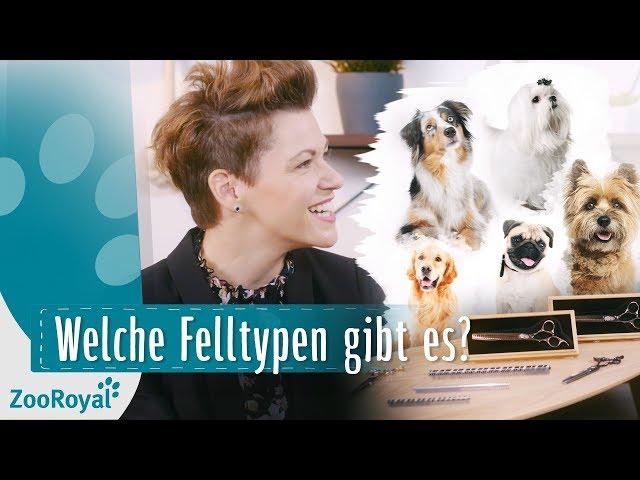 Fellpflege – eine Einführung mit Franziska Knabenreich | Rund um den Hund | ZooRoyal