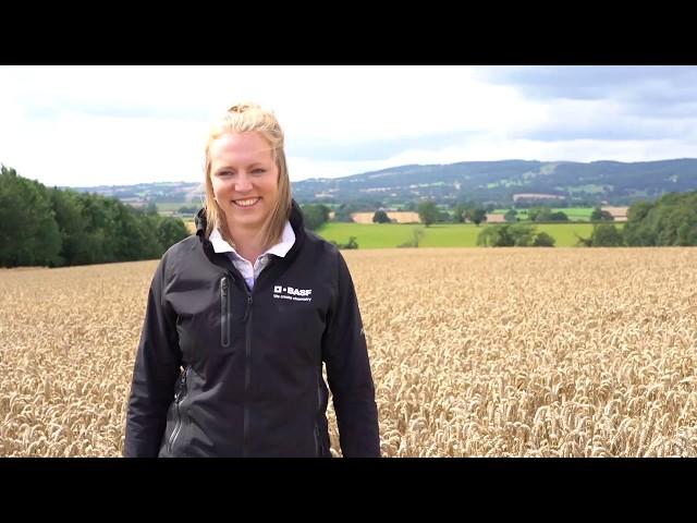 MDS Student at BASF Agricultural Solutions UK