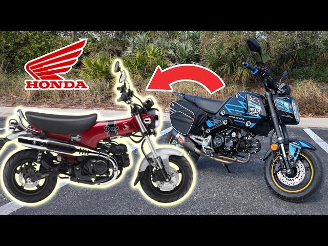 Sorry GROM, Honda's new "DAX" is the king of minimotos?!