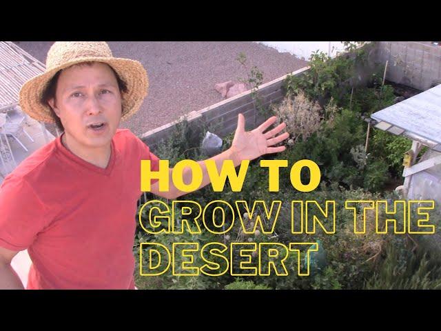 How to Have a Successful Garden in the Desert or Anywhere Top 10 Tips