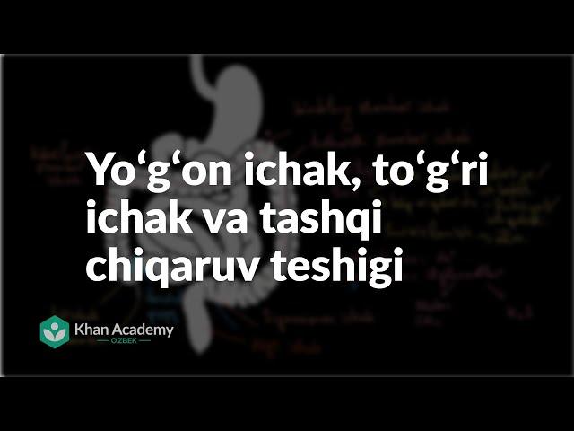 Yoʻgʻon ichak, toʻgʻri ichak va tashqi chiqaruv teshigi | Ovqat hazm qilish tizimi | Tibbiyot