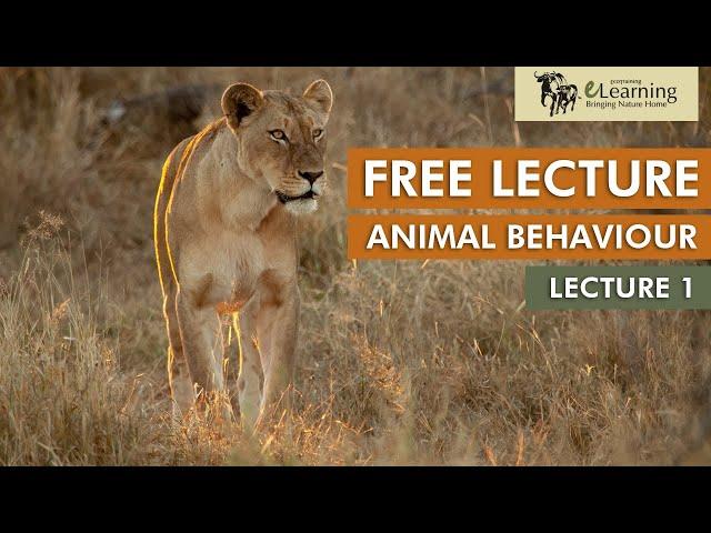 EcoTraining FREE Lecture on Animal Behaviour | Lecture 1