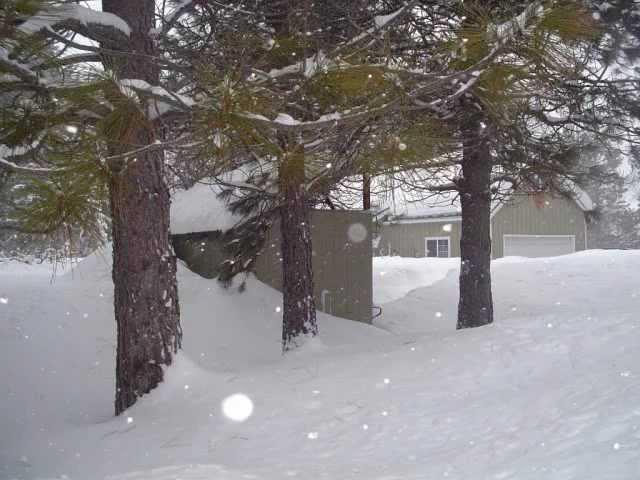 DEEP SNOW - Trout Lake, WA