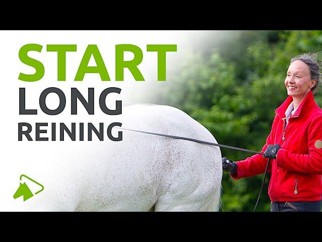 Long Reining Your Horse | How to Start | wehorse