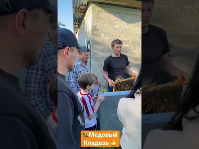 В гостях у пчеловода. Часть 2. Сколько пчёл даёт одна матка за свою жизнь.