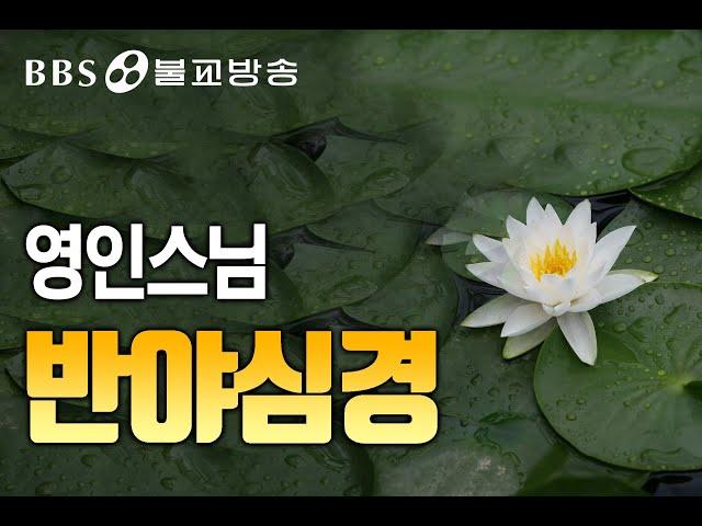 [BBS 인기동영상] 독경_반야심경 (영인스님) #매일듣는독경