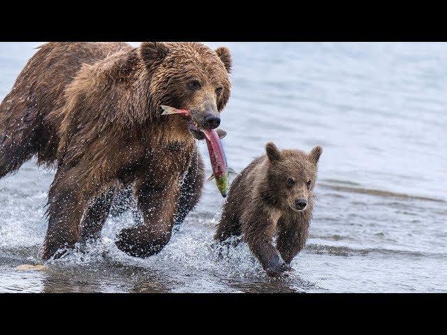 Kamchatka Outdoors