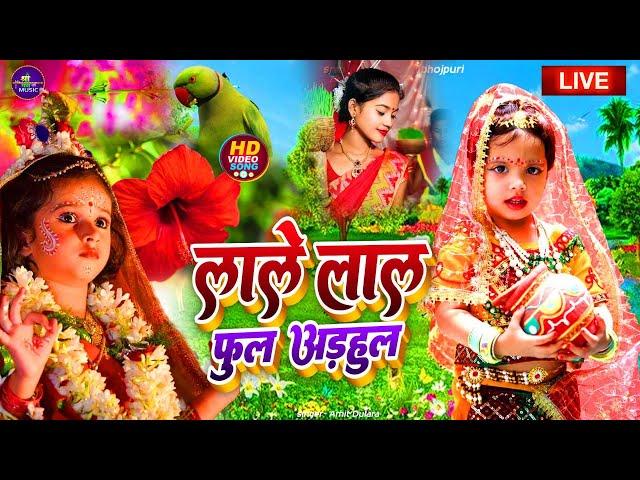Navratri Bhakti Song 2024 | Devi Geet | नवरात्रि स्पॆशल गीत | Bhakti Gana | Bhojpuri Devi Geet