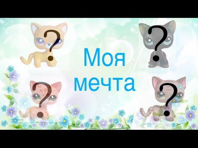 Моя мечта