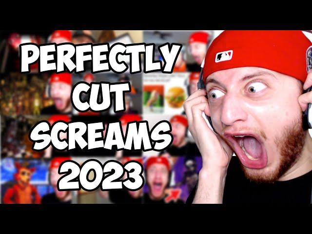 Best Perfectly Cut Screams 2023