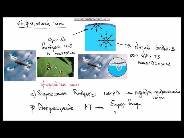 ΙΞΩΔΕΣ - ΕΠΙΦΑΝΕΙΑΚΗ ΤΑΣΗ - ΤΑΣΗ ΑΤΜΩΝ (Viscosity, Surface tension, Vapor stress)