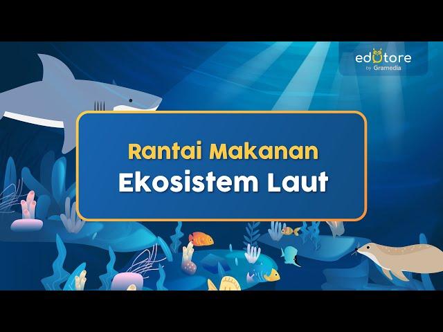 Rantai Makanan Ekosistem Laut #BelajarDiRumah