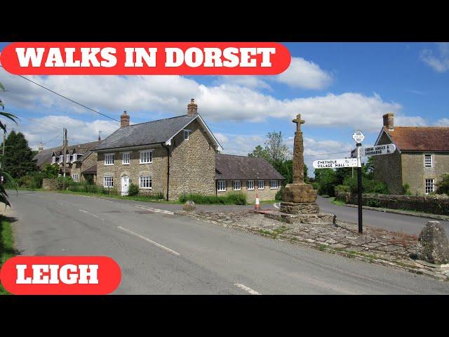 WALKS IN DORSET at LEIGH (4K)