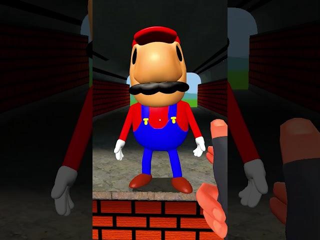 POW HAHA ALL SIZES MARIO.EXE SUPER MARIO FAMILY in Garry's Mod !? SONIC TYPES !