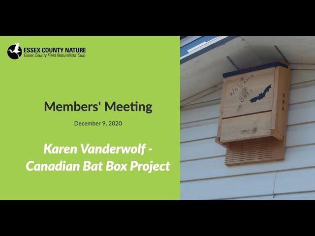 Essex County Nature Meeting - Canadian Bat Project - Karen Vanderwolf