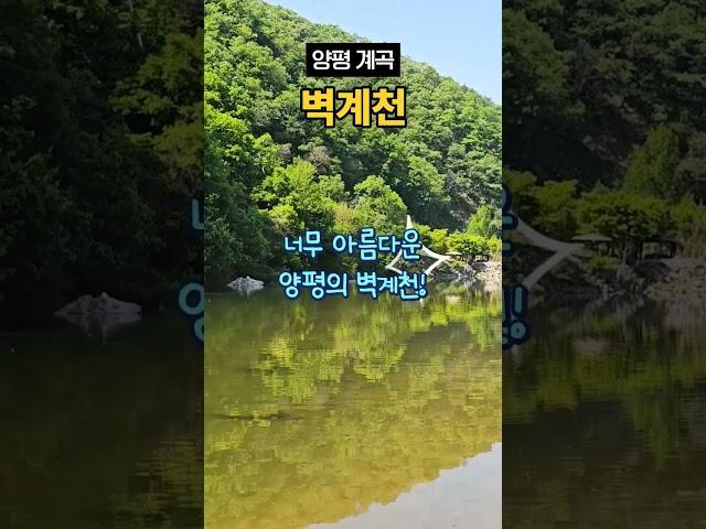 양평 계곡 맛있는 커피와 함께!!