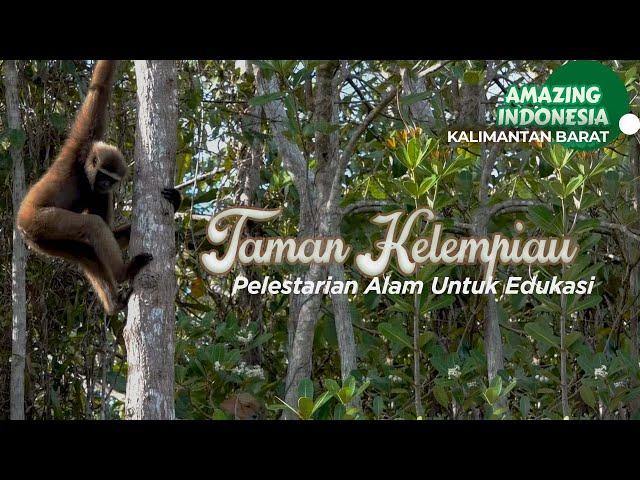 Kawasan Konservasi Flora dan Fauna Taman Kelempiau | Amazing Kalimantan Barat